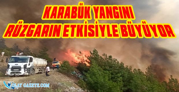 KARABÜK YANGINI RÜZGARIN ETKİSİYLE İLERLİYOR