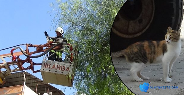 KEDİNİN İMDANINA İTFAİYE YETİŞTİ 