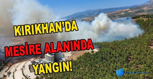 KIRIKHAN MESİRE YERİNDE YANGIN!
