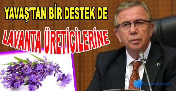 KIRSALDA ÜRÜN ÇEŞİTLİLİĞİ