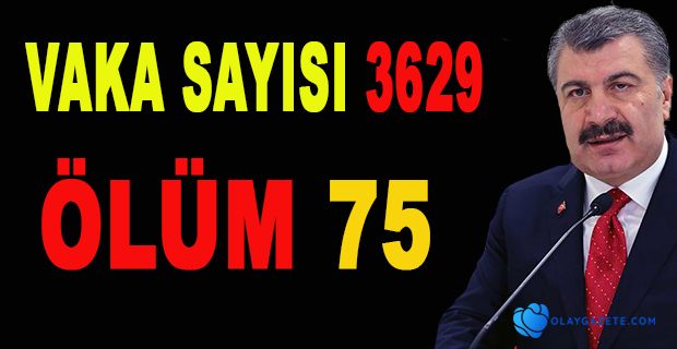 KOCA: VAKA SAYISI 3 BİN 629, ÖLÜM 75