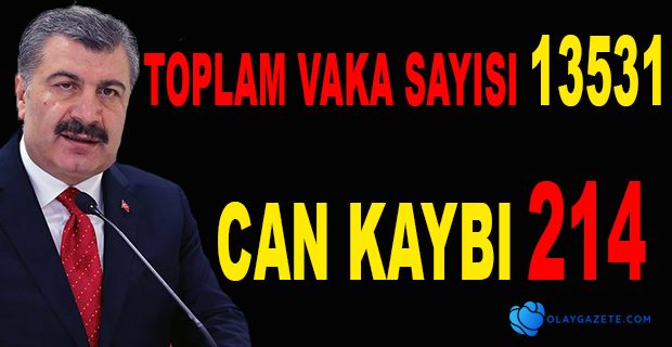 KORONA VİRÜSTEN CAN KAYBI 214