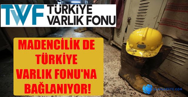 MADENCİLİK DE VARLIK FONU