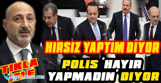 MAHKEMENİN ERDOĞAN BAYRAKTAR HAKKINDA 