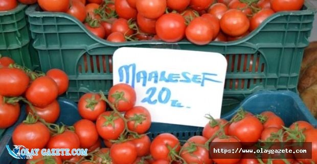 MANAV DOMATESİN FİYATINI YAZARKEN 