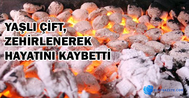 MANGAL KÖMÜRÜNDEN ZEHİRLENDİLER