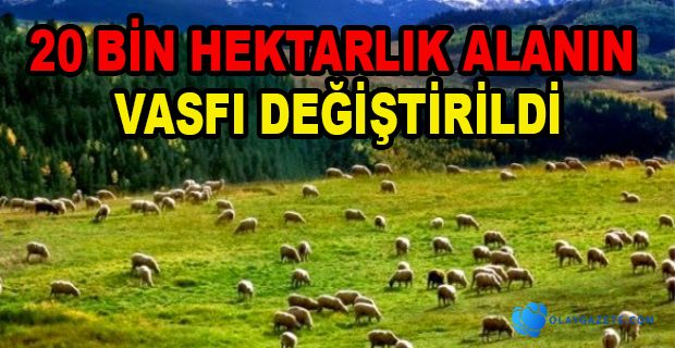 MERALAR RANT ALANI OLDU