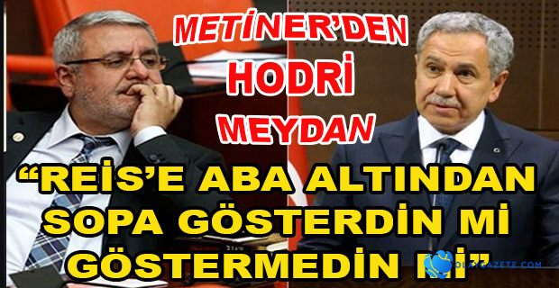 METİNER