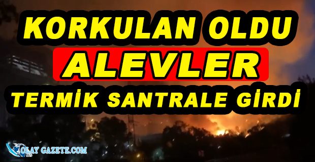 MİLAS BELEDİYE BAŞKANI TOKAT: "ALEVLER TERMİK SANTRALE GİRDİ"