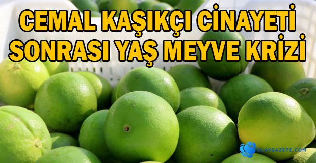 NARENCİYEDE ANALİZ KRİZİ 