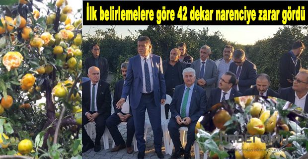Narenciyeye dolu darbesi