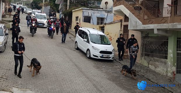 NARKOTİK KÖPEKLİ DENETİM