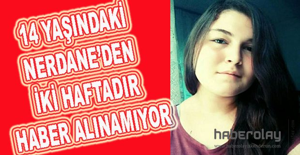 NERDANE’DEN İKİ HAFTADIR HABER ALINAMIYOR