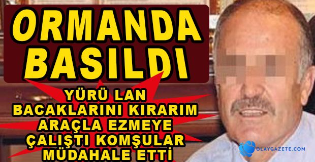 O KAYMAKAM BEYKOZ ORMANLARINDA SEVGİLİSİYLE YAKALANDI: EMEKLİLİĞİNİ İSTEDİ