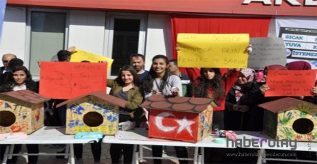 Öğrencilerden sokak kedilerine yuva