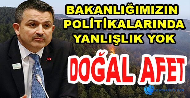 ORMAN YANGINLARINA PAKDEMİRLİ‘DEN ŞAŞIRTAN YANIT