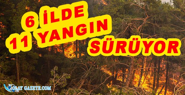 ORMAN YANGINLARINDA 8
