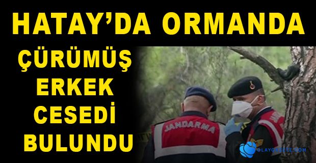 ORMANDA ÇÜRÜMÜŞ ERKEK CESET BULUNDU