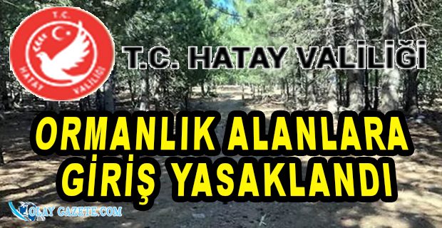 ORMANLIK ALANLARA GİRİŞ YASAKLANDI