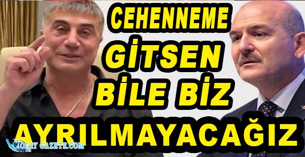 PEKER YİNE SOYLU