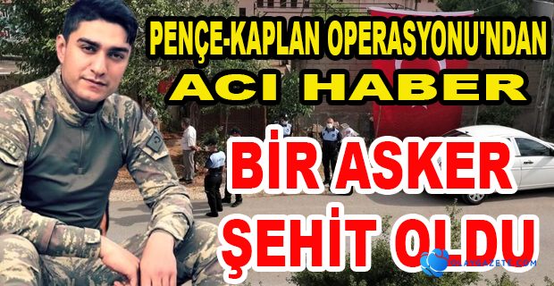 PENÇE-KAPLAN OPERASYONU