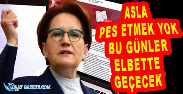 RESMİ GAZETE ÇÖKTÜ: İYİ PARTİ LİDERİ AKŞENER