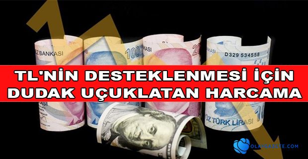 REUTERS: KAMU BANKALARININ KULLANDIĞI REZERV BEŞ AYDA 50 MİLYAR DOLARI AŞTI