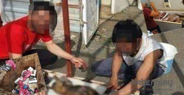 REYHANLI’DA GIDA VAHŞETİ