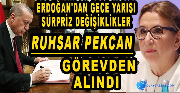 RUHSAR PEKCAN GÖREVDEN ALINDI, YENİ BAKAN MEHMET MUŞ OLDU