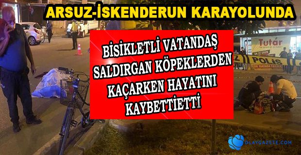 SALDIRGAN KÖPEKLERDEN KAÇARKEN ÖLDÜ!