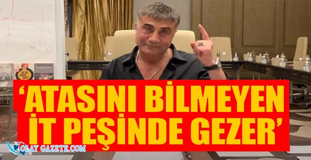 SEDAT PEKER
