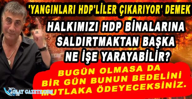 SEDAT PEKER: VATANSEVER GÖRÜNÜMLÜ PROVOKATÖRLERİN OYUNUNA ASLA GELMEYİN!