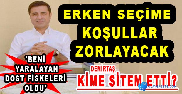 SELAHATTİN DEMİRTAŞ