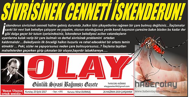 SİVRİSİNEK CENNETİ İSKENDERUN!