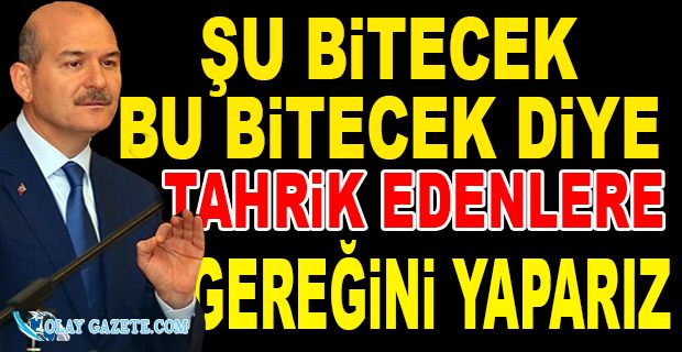 SOYLU: "TÜRKİYE