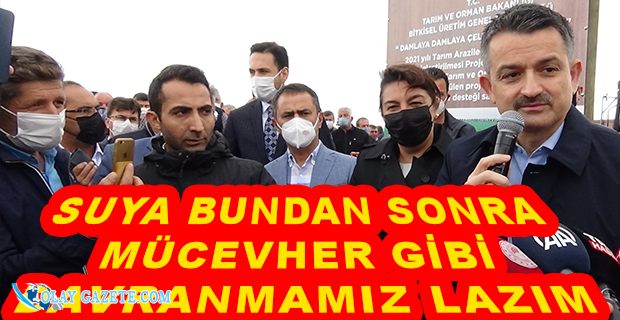 TARIM VE ORMAN BAKANI PAKDEMİRLİ ÇELTİK HASADINA KATILDI