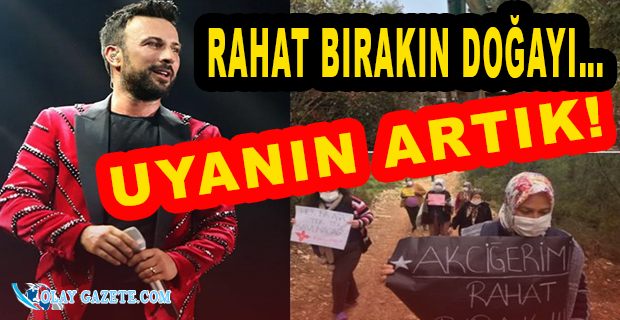 TARKAN: AKBELEN ORMANI