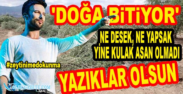 TARKAN’DAN ZEYTİN AĞAÇLARININ KESİLMESİNE  TEPKİ