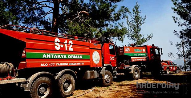 Teröristler Orman Yaktı