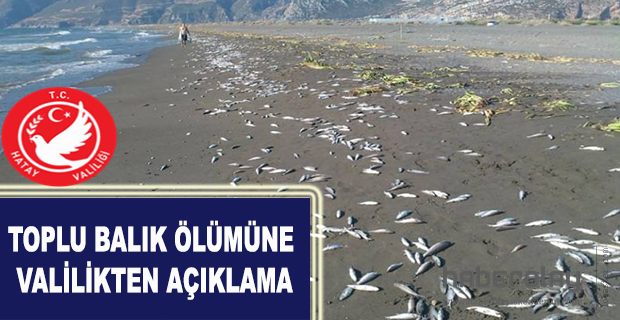 TOPLU BALIK ÖLÜMLERİNE  VALİLİKTEN AÇIKLAMA