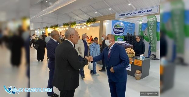 TOSYALI HATAY GÜNLERİNDE STANTLARI GEZDİ