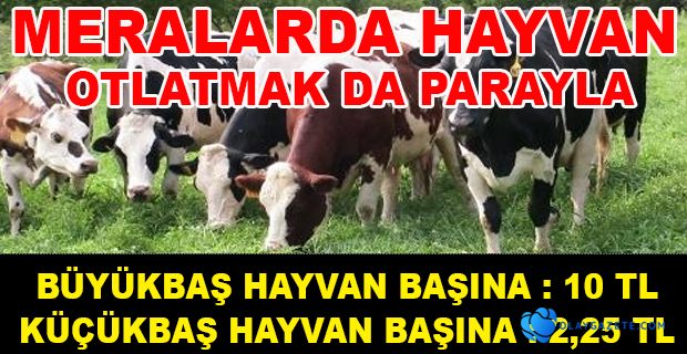 VALİLİK HAYVAN OTLATAN KÖYLÜLERDEN PARA İSTEDİ