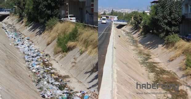 Vatandaş attı, HBB temizledi 