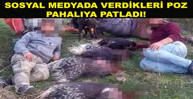 VERDİKLERİ POZ PAHALIYA PATLADI!