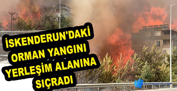 YANGIN YERLEŞİM ALANLARINA SIÇRADI