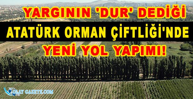 YARGININ ‘DUR’ DEDİĞİ ATATÜRK ORMAN ÇİFTLİĞİ