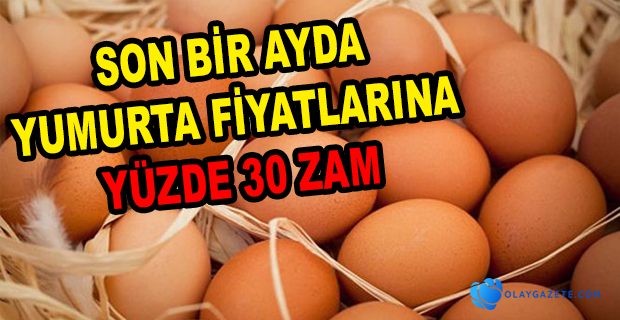 YUMURTAYA YÜZDE 30 ZAM